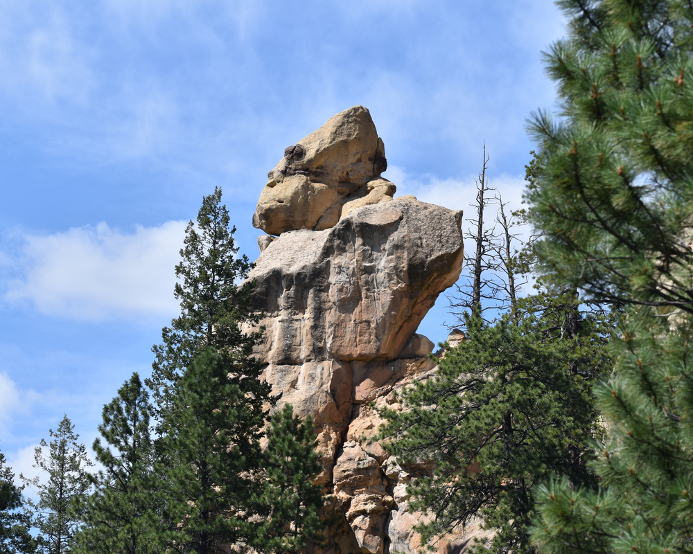 Jicarilla Apache Reservation