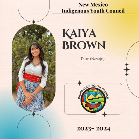 Indigenous Youth Council - NM Indian Affairs Department