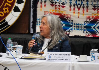 State Tribal Leaders Summit 2025